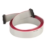 RABICHO FLAT CABLE 2500mm